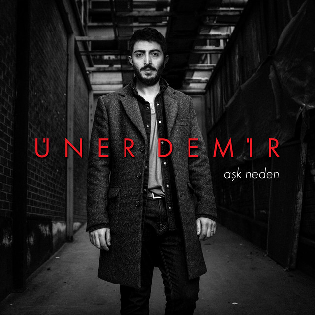 Aşk Neden cover art