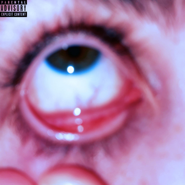 CRASHED IT! cover art