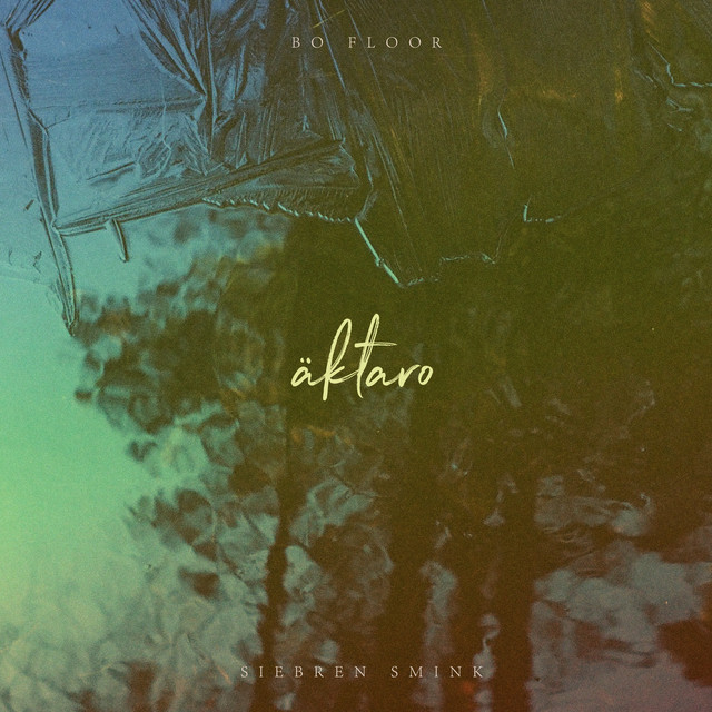 Äktaro cover art