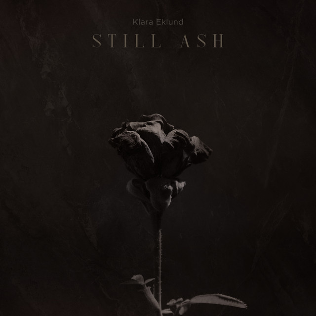 Still Ash cover art