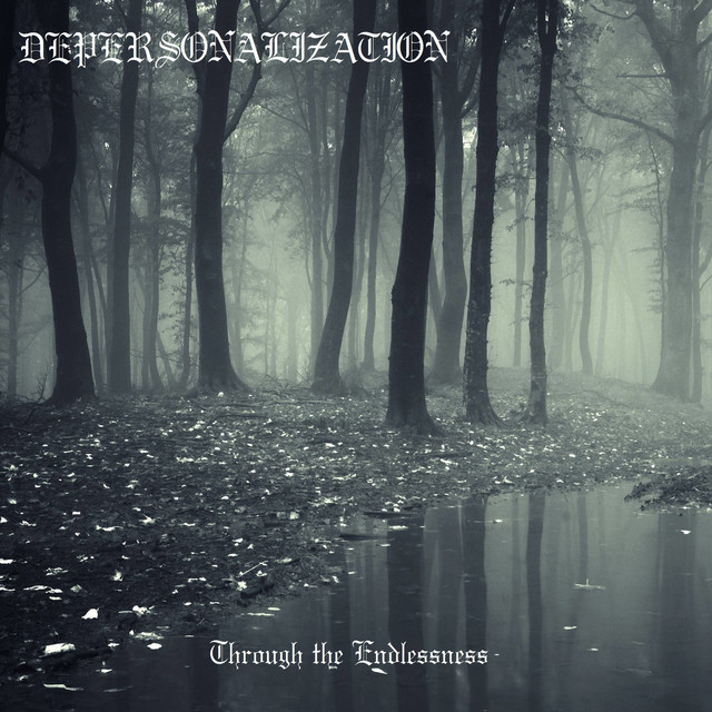 Through the Endlessness cover art