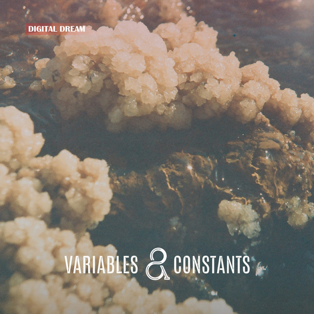 Variables And Constants cover art