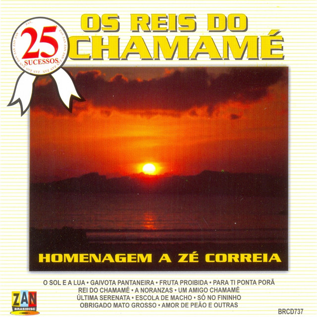 25 Sucessos: Os Reis do Chamamé (Homenagem a Zé Correia) cover art
