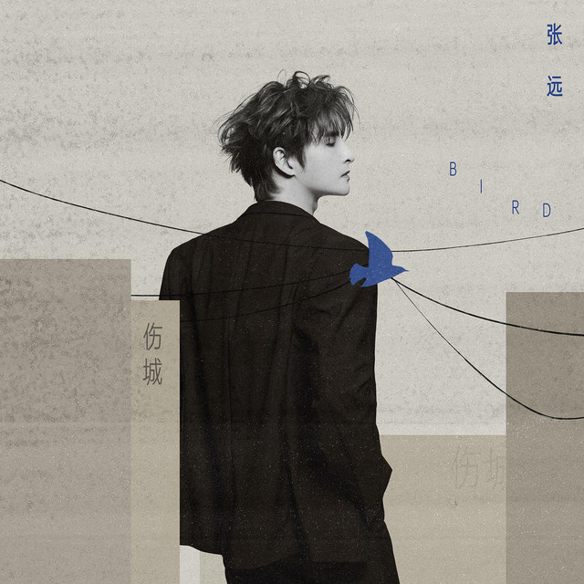 伤城2025 cover art
