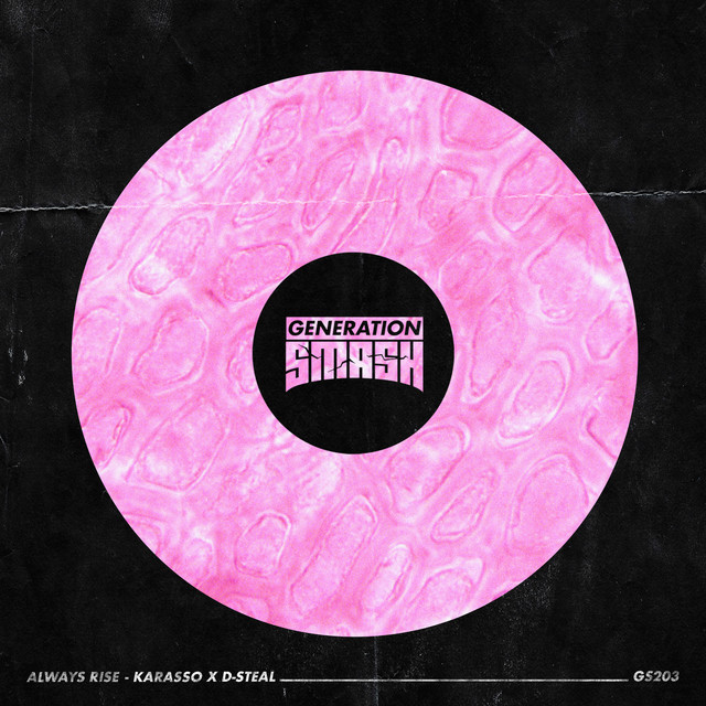 Always Rise - Extended Mix album art