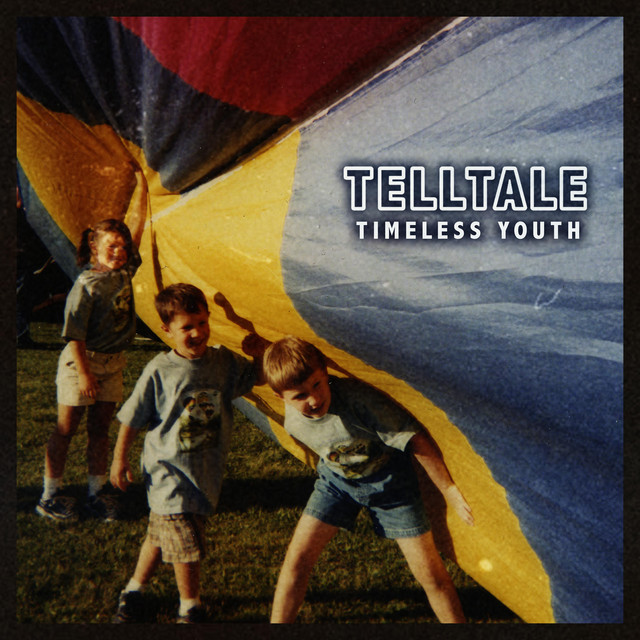 Timeless Youth cover art