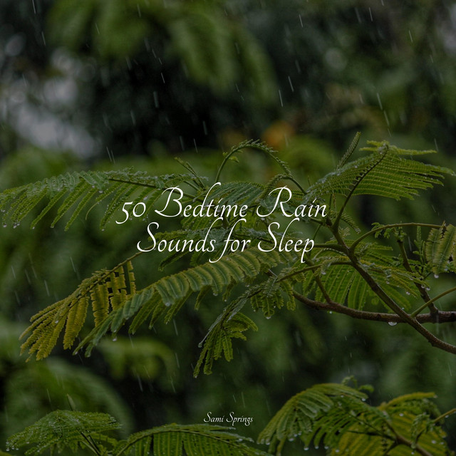 50 Bedtime Rain Sounds for Sleep - Album by Best Relaxing SPA Music ...