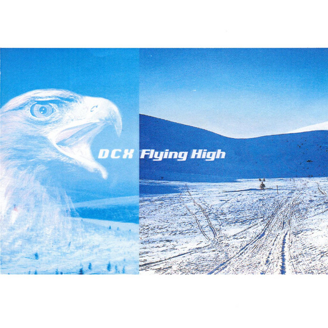 Flying High (1999 Mixes) cover art