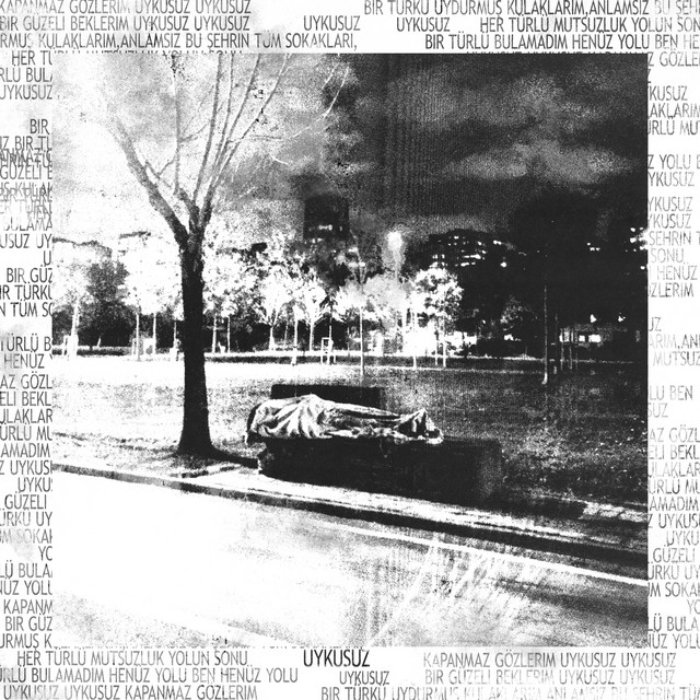 Uykusuz cover art