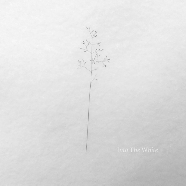 Into the White