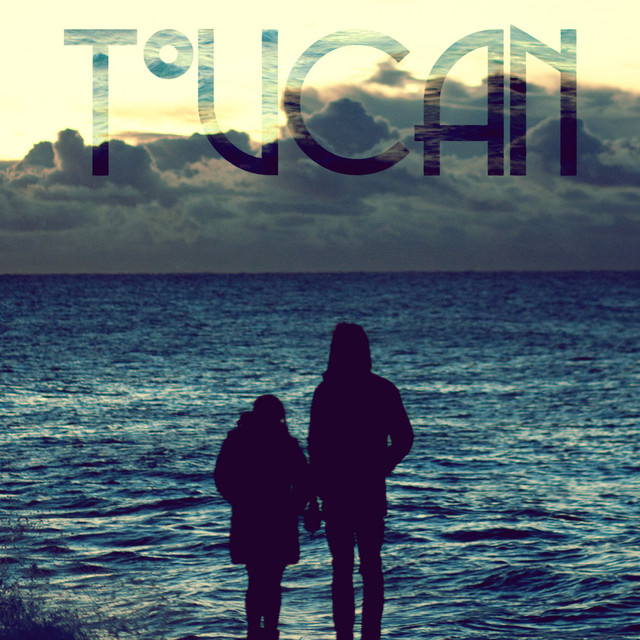 Swim cover art