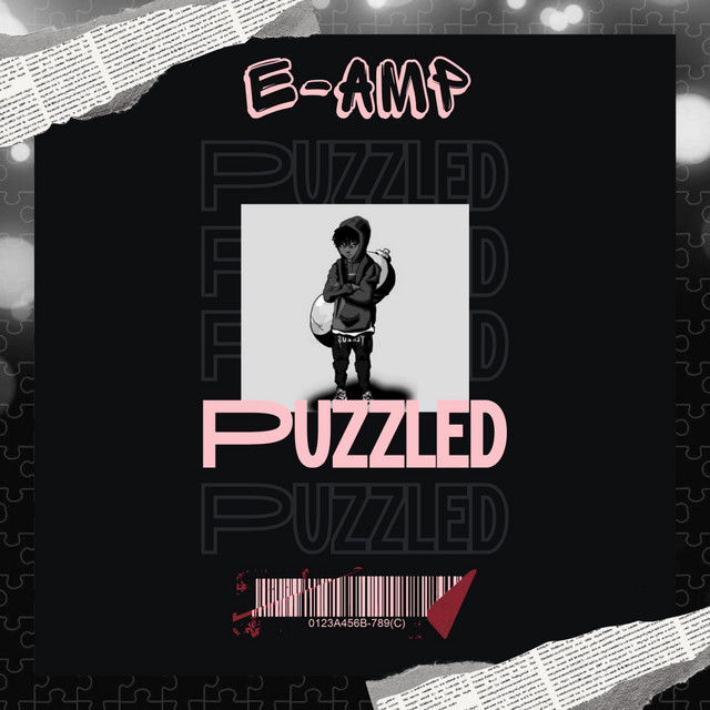 Puzzled cover art
