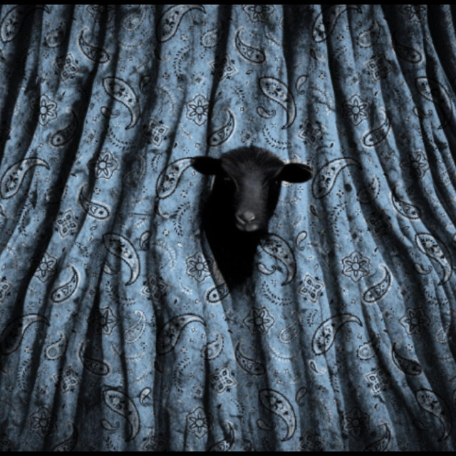 BLKSHP cover art