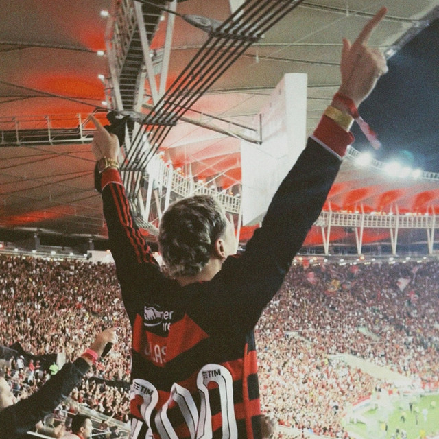 O Flamengo É Seleção cover art