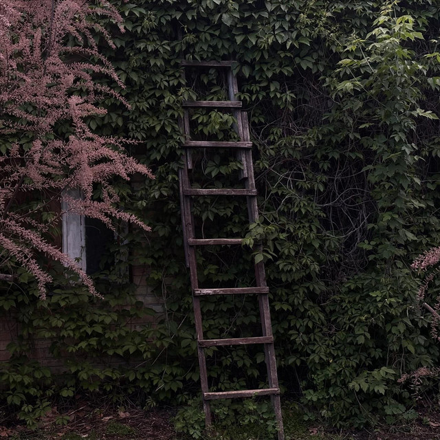 Обкладинка But We Were Builders, Not Heroes! — somewhere, it's sunny