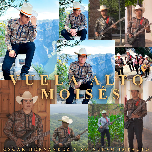Vuela Alto Moises album image
