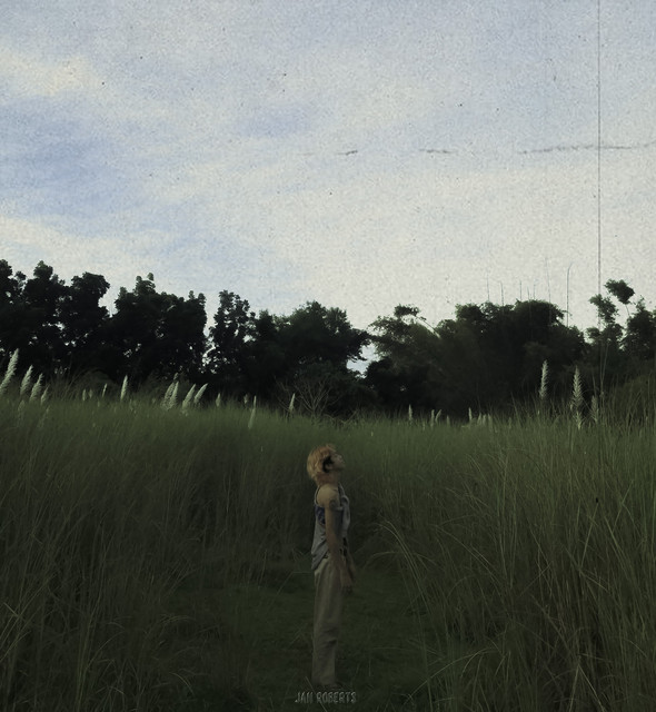 Patlang
