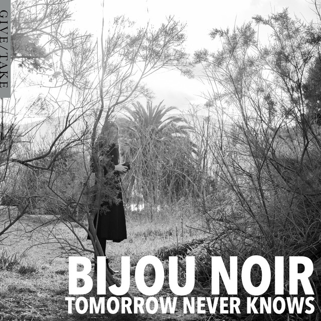 Tomorrow Never Knows cover