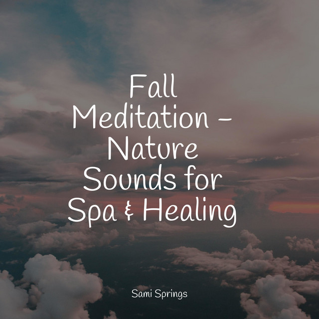 Fall Meditation - Nature Sounds for Spa & Healing cover art