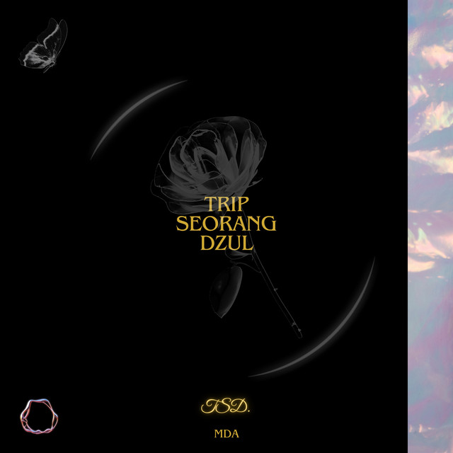 TRIP SEORANG DZUL cover art
