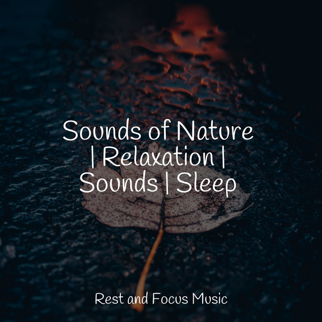 Sounds of Nature | Relaxation | Sounds | Sleep - Album by Música Zen ...