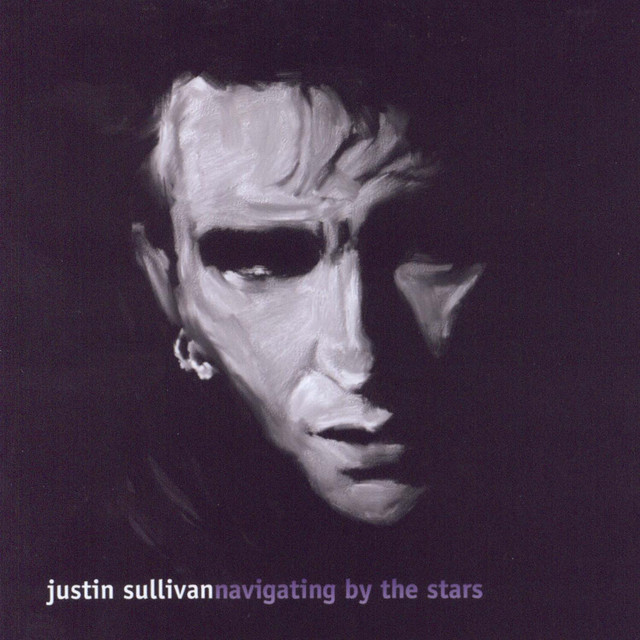 Navigating By The Stars cover