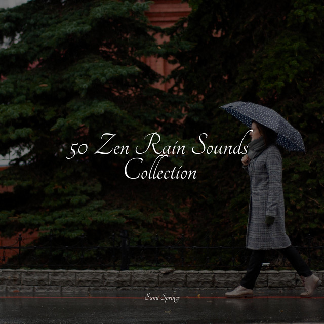 50 Zen Rain Sounds Collection - Album by Water Soundscapes | Spotify