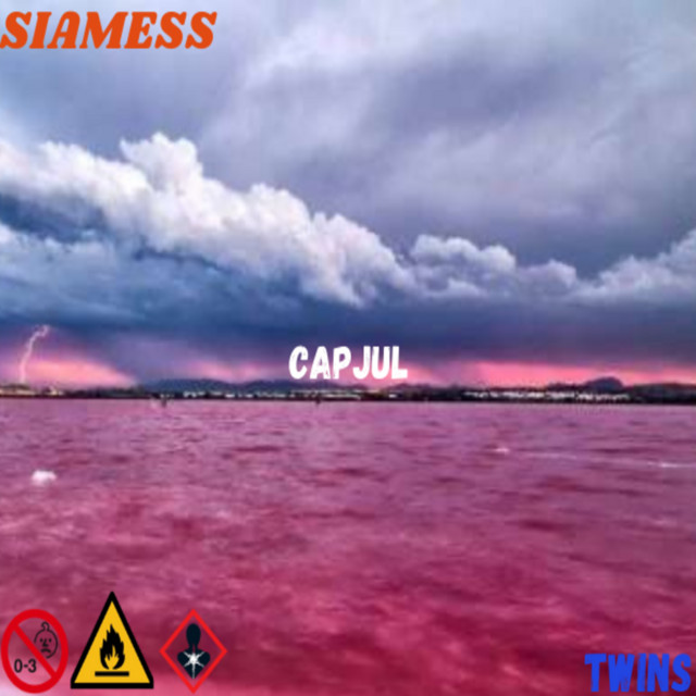 SIAMESS TWINS cover art