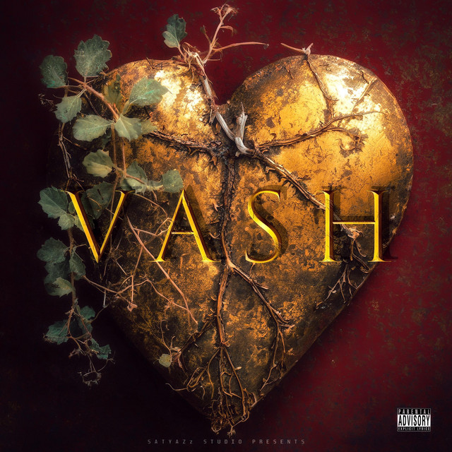 VASH - song and lyrics by SATYAZz | Spotify