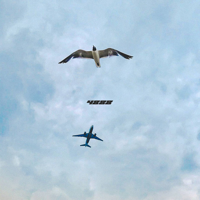 4888 cover art