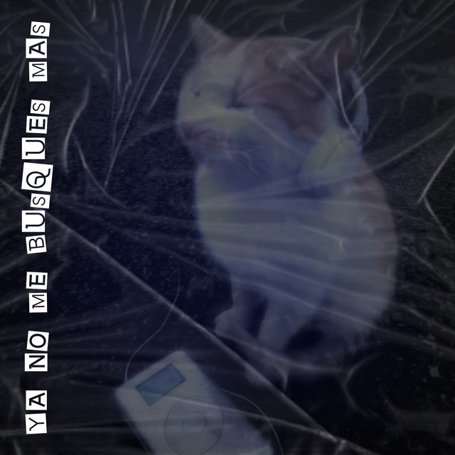 undefined album image
