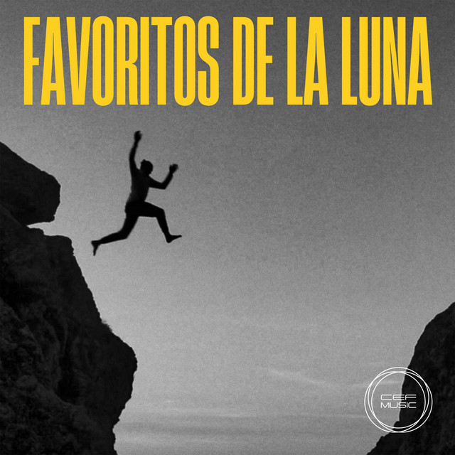 FAVORITOS DE LA LUNA cover art