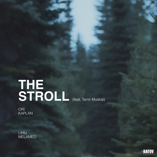 Cover du titre The Stroll