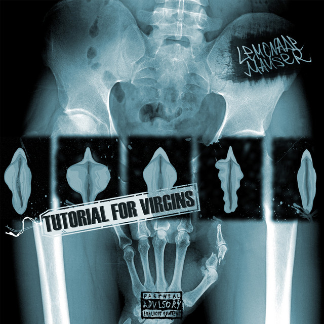 Tutorial for Virgins cover art