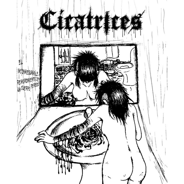 El inconmesurable remordimiento de un cuerpo perdido cover art