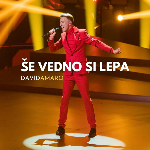 Še Vedno Si Lepa cover art
