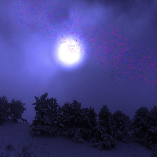 A Lonely Night Walk cover art