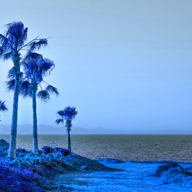 Blue Noon
