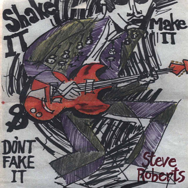 Shake It, Make It & Don't Fake It cover