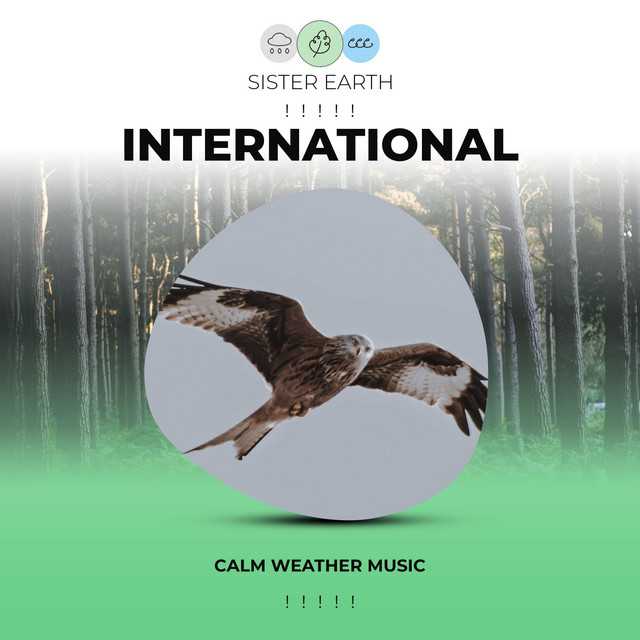 Calm International Weather Music ! ! ! ! ! - Album by Nature Sounds XLE ...