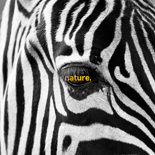Nature. cover art