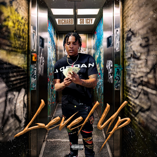 Level Up cover art