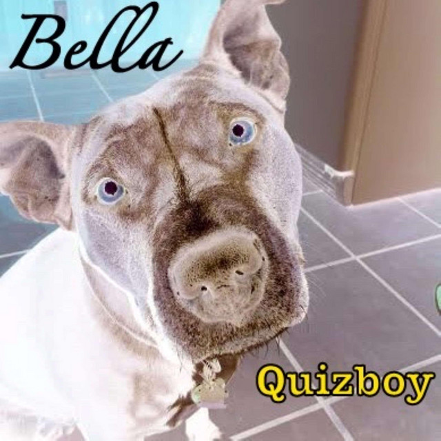 Bella cover art