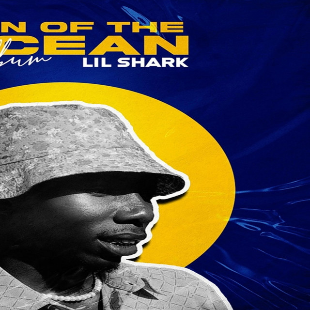 Lil Shark