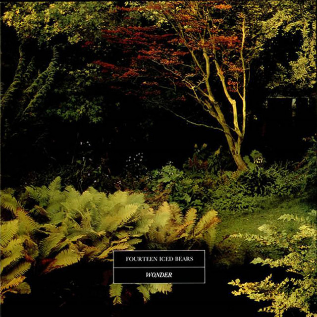 Wonder cover art