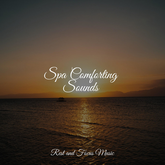 Spa Comforting Sounds - Album by Bath Spa Relaxing Music Zone | Spotify