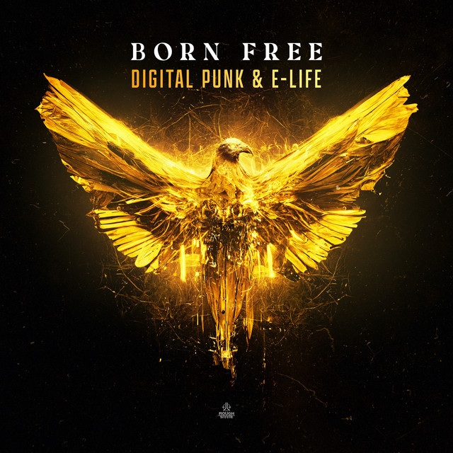 Born Free - Extended Mix album art