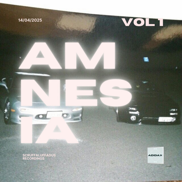 Amnesia cover art