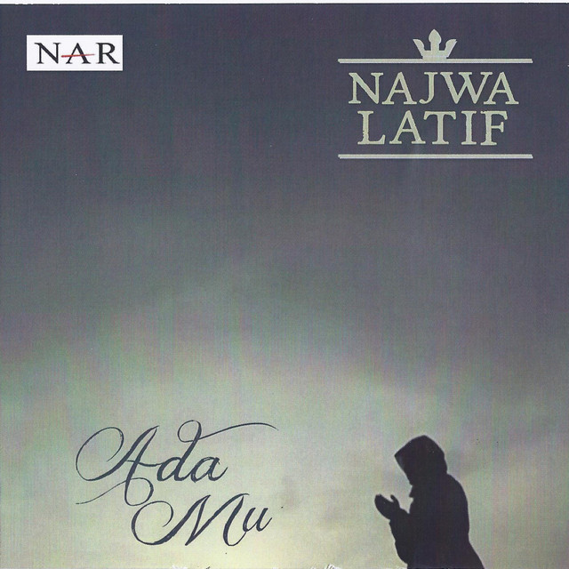 AdaMu cover art