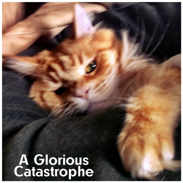 A glorious catastrophe (Repainted) album image